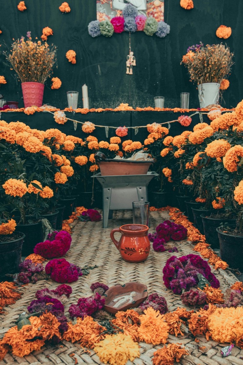 A Día de Muertos altar framed by marigolds and flowers